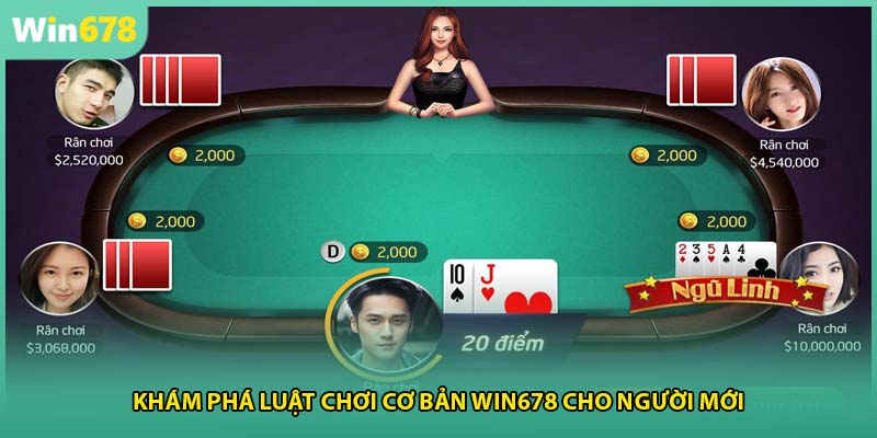 Khám phá luật chơi cơ bản WIN678 cho người mới